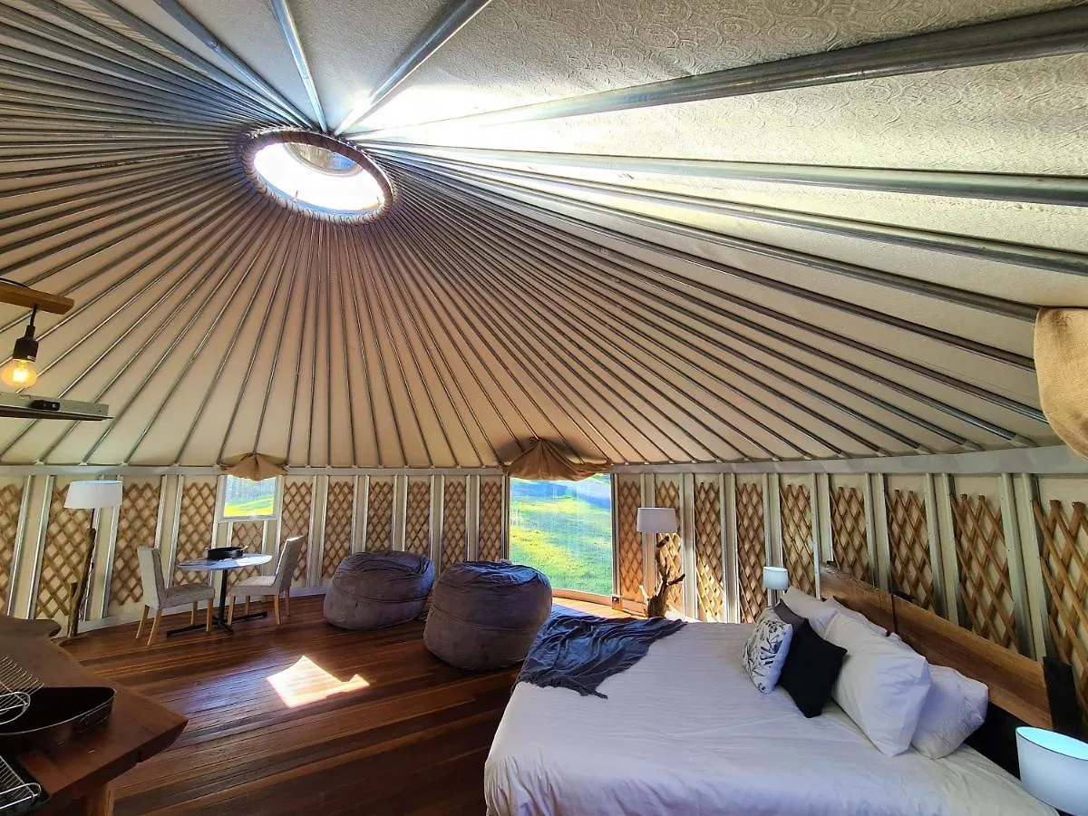 Pomona Noosa Eco Retreat酒店 澳大利亚